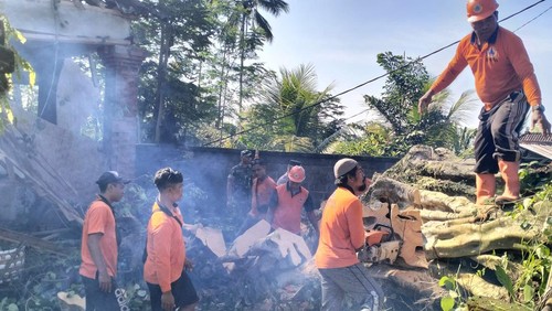 TRC BPBD Gianyar menangani pohon tumbang menimpa pura di Kecamatan  Tegallalang, Gianyar, Jumat (1/3/2024). (foto : dok BPBD Gianyar).