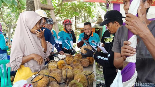 Durian lato-lato yang paling diburu pengunjung di Festivam Durian Lokal Pangandaran