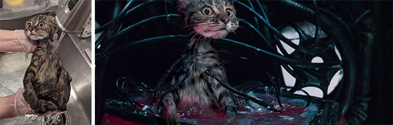 Karya dewa photoshop