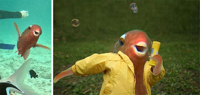 Karya dewa photoshop