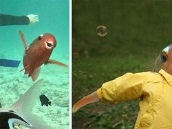 Foto Sebelum dan Sesudah Diedit Dewa Photoshop Bikin Mata Melotot