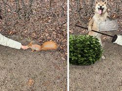 Foto Sebelum dan Sesudah Diedit Dewa Photoshop Bikin Mata Melotot