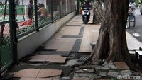 Salah satu pedestrian yang rusak tersebut dapat dijumpai di Jalan Dharmawangsa, Kecamatan Gubeng. Terlihat banyak keramik yang rusak karena pertumbuhan akar pohon.