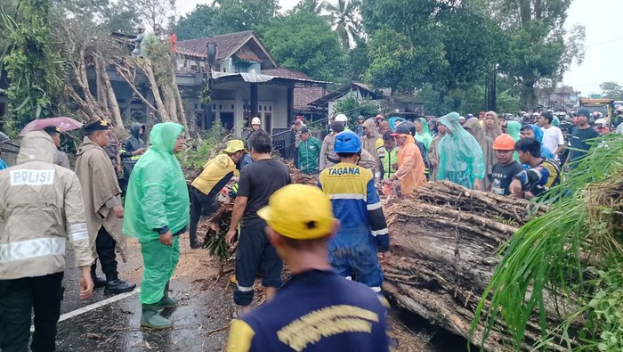 Pohon tumbang di Jalan Raya Tasikmalaya Garut sebabkan Kemacetan Lalu lintas dan hantam rumah.