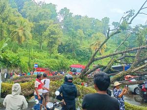 2 Mobil Ringsek-Lalin Tersendat gegara Pohon Tumbang di Karangasem