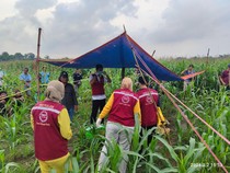 Wanita Nganjuk Ditemukan Tewas di Kebun Jagung dengan Wajah Penuh Luka