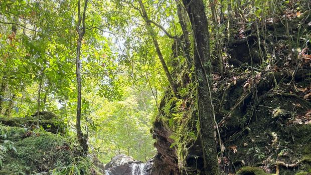 Salah satu air terjun di Desa Wisata Wae Lolos, Kabupaten Manggarai Barat, NTT. (Foto: Istimewa)