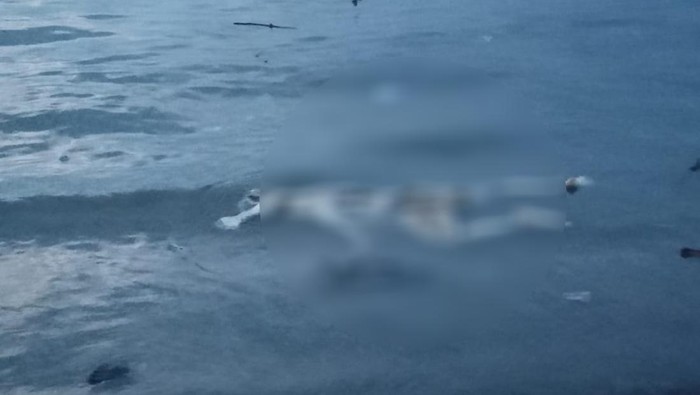 Sesosok mayat ditemukan mengambang di perairan Selat Bali tepatnya di belakang Pura Segara Rupek, Lingkungan Penginuman, Kelurahan Gilimanuk, Kabupaten Jembrana, Bali, Sabtu (2/3/2024). (Foto: Istimewa)