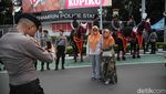 Pasukan Polisi Berkuda Jadi Primadona di CFD Bundaran HI