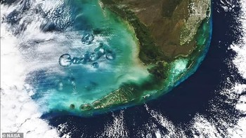 Foto yang diambil pada Januari lalu oleh satelit Terra NASA ini menampakkan awan Cavum. Bentuknya yang aneh membuat orang terkadang berargumentasi bahwa itu adalah ciri-ciri kedatangan UFO. Foto: NASA