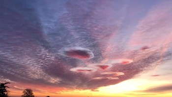 Bentuk aneh tersebut, diketahui dihasilkan ketika pesawat terbang melalui awan altocumulus, kumpulan awan kecil yang tidak rata yang terbentuk di ketinggian antara 2.000 hingga 7.000 meter di atas permukaan laut. Foto: NASA