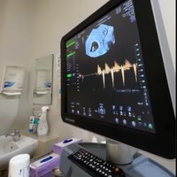 Tak hanya memamerkan test pack positif, Shanju dan Jonathan juga memperlihatkan momen USG anak pertama mereka. Keduanya begitu bahagia bisa mendengar detak jantung sang jabang bayi. Foto: Instagram/@shanju