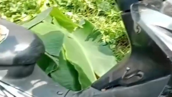 Mayat korban ditutupi warga dengan daun pisang saat ditemukan