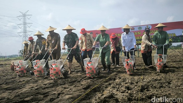 Pangdam V Brawijaya Rafael Granada Baay Pimpin Tanam Jagung dan Padi di Gresik