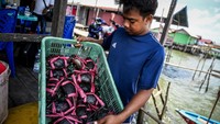 Nelayan mengatakan permintaan ikan untuk dikonsumsi mengalami peningkatan setelah adanya pembangunan IKN Nusantara.