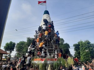Warga Sidoarjo Berebut Tumpeng Tempe Raksasa Tradisi Jelang Ramadan