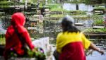 Warga Tetap Ziarah Makam Meski TPU Semper Kebanjiran