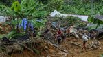 9 Rumah di Desa Ciherang Lebak Jadi Korban Longsor