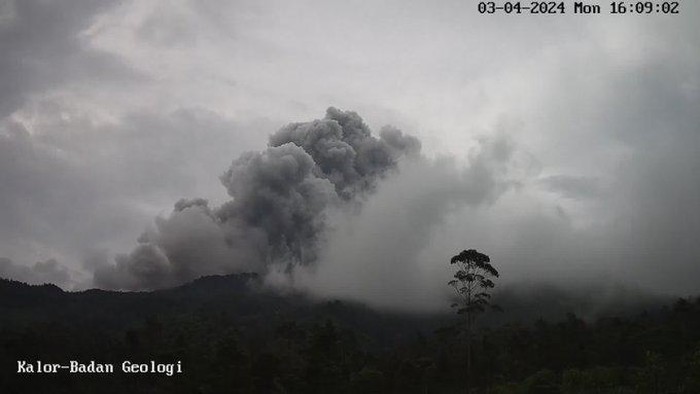 Awan panas guguran Merapi, Senin (4/3/2024) sore.