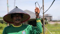 Petani itu juga memasang alat yang bisa berbunyi saat tali pengaitnya ditarik-tarik.