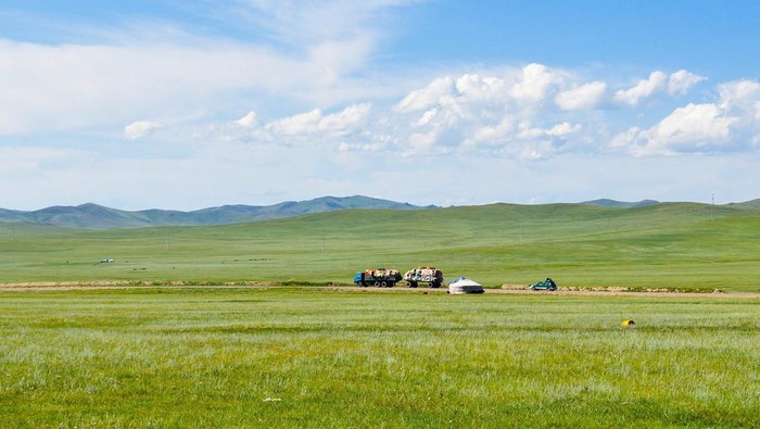 bioma stepa di Mongolia.