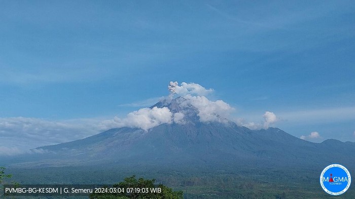 gunung semeru erupsi  Senin, 04 Maret 2024, pukul 07:18 WIB dengan tinggi kolom abu teramati ± 800 m