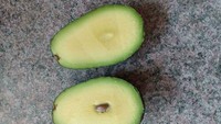 Membayangkan sarapan segar dengan buah alpukat, warganet ini seolah mendapat rezeki di pagi hari. Alpukat yang dibukanya hampir tak memiliki biji. Foto: Bored Panda