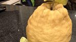 Bak Dapat Durian Jatuh, 10 Netizen Ini Dapat Hadiah dari Makanan