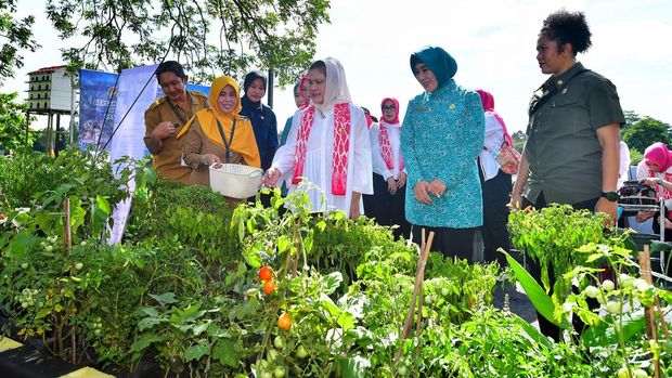 Ibu Negara Iriana Joko Widodo bersama Istri Wakil Presiden Wury Estu Handayani mendorong gerakan tanam cabai nasional bersama Tim Penggerak Pemberdayaan Kesejahteraan Keluarga (TP PKK) di Alun-Alun Cirimekar, Cibinong, Kabupaten Bogor, Jawa Barat, Senin (4/3/2024). (Dok. Sekretariat Presiden)