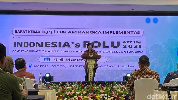 Menteri LHK Siti Nurbaya Bakar menghadiri rapat kerja Kesatuan Pengelolaan Hutan (KPH) dalam rangka Implementasi Indonesias FOLU Net Sink 2030 (Tina/detikcom)