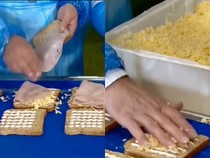 Netizen Kaget Lihat Pembuatan Sandwich Kemasan, Ternyata Begini