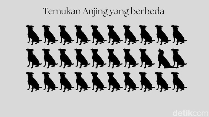 Panasain Otak Yuk, Biar Besok Fresh Pas Ngantor Lagi