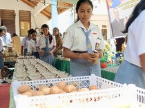 Banyak Siswa Pingsan Saat Apel, SMAN 11 Kupang Rilis Program Makan Gratis