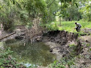 Warga Ngawi Keluhkan Lahan Pertaniannya Longsor Tergerus Banjir