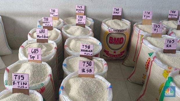 Beras Medium dan Premium di Pasar Induk Cipinang. (CNBC Indonesia/Martyasari Rizky)
