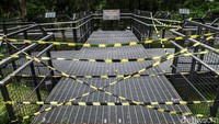 Garis itu menandakan jalur pedestrian tak boleh dilewati.