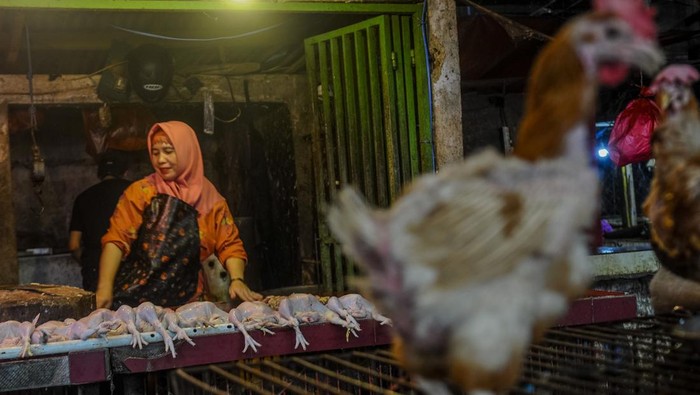 Harga Ayam Potong di Rangkasbitung Naik Jelang Ramadan Pedagang daging ayam menunggu pembeli di Pasar Rangkasbitung, Lebak, Banten, Selasa (5/3/2024). Menurut pedagang ayam, menjelang bulan Ramadhan harga daging ayam potong mengalami kenaikan dari sebelumnya Rp27 ribu per kilogram menjadi Rp40 ribu per kilogram akibat pasokan dari peternak menurun sementara permintaan terus naik. ANTARA FOTO/Muhammad Bagus Khoirunas/Spt.