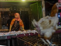 Harga Ayam Potong di Rangkasbitung Naik Jelang Ramadan