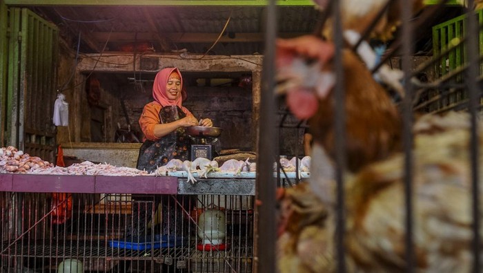 Pedagang daging ayam menunggu pembeli di Pasar Rangkasbitung, Lebak, Banten, Selasa (5/3/2024). Menurut pedagang ayam, menjelang bulan Ramadhan harga daging ayam potong mengalami kenaikan dari sebelumnya Rp27 ribu per kilogram menjadi Rp40 ribu per kilogram akibat pasokan dari peternak menurun sementara permintaan terus naik. ANTARA FOTO/Muhammad Bagus Khoirunas/Spt.
