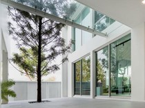 6 Ide Pintu untuk Rumah Minimalis Biar Terlihat Makin Manis