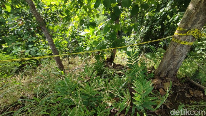 Jurang tempat Devara cs membuang jasad Indriana Dewi Eka Saputri di Banjar, Jawa Barat