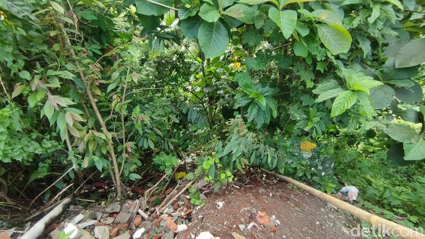 Jurang tempat Devara cs membuang jasad Indriana Dewi Eka Saputri di Banjar, Jawa Barat