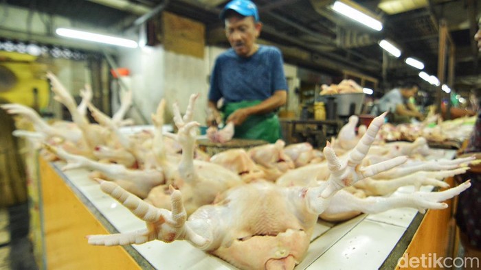 pedagang daging ayam di pasar dtc wonokromo surabaya