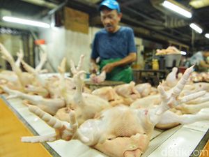 Harga Sembako Jatim 1 November 2024, Daging Ayam Kampung Rp 66.319