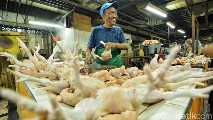pedagang daging ayam di pasar dtc wonokromo surabaya