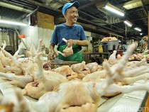 Harga Cabai Turun, Telur Ayam-Puyuh di Surabaya Naik Jelang Ramadan