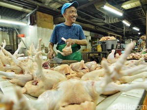 Daging Ayam Ras Picu Inflasi 0,15% di Jatim pada Oktober 2024