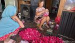 Petani Mawar di Jombang Panen Cuan Jelang Ramadan
