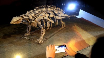Potret Spesies Baru Dinosaurus Berlapis Baja yang Ditemukan di China