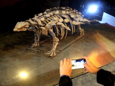 Potret Spesies Baru Dinosaurus Berlapis Baja yang Ditemukan di China